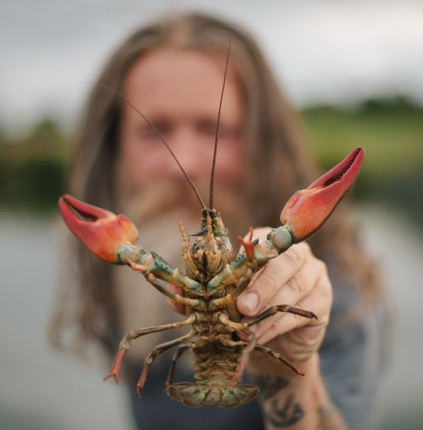 Close-up photograph of a crayfish with its claws raised, held in front of a blurred figure